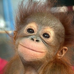 Tatyana Leshchenko, Москва