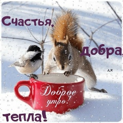 Айнур Темешева, 30.10.1984, Алматы