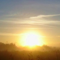 Константин Толмачев