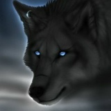 Артем Усик, 04.03.1992, Сумы