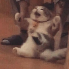 Kairat Blyalov, 15.08.1997, Караганда