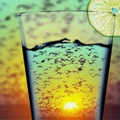 Анастасия Зонненберг, 06.08.1986, Омск