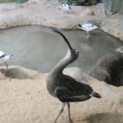 Маша , 11.02, Москва