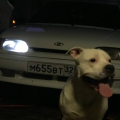 Костя Костюков, 25.02