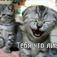 Залик Гусенов