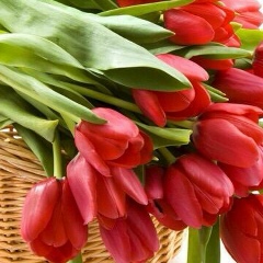 Aidana Abdrahmanova, 10.02.1990, Астана