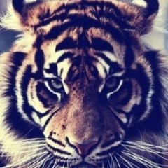 Расул Бақытжан, 23.03.1998, Атырау