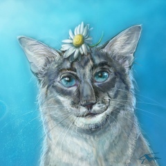 Александр Шкапин, 10.08