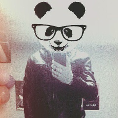 Дмитрий Губин, 10.12, Пермь