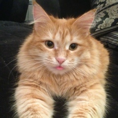 Татьяна Петуненкова, 07.02, Оренбург