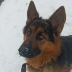 Александр Жуков, 05.01.1995, Минеральные Воды