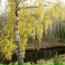 Леник Иванов, 03.07, Санкт-Петербург