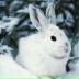 Елена Евдокимова, 23.03.1999, Волгоград