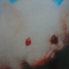 Storm Soul, 07.01.1958, Itajubá