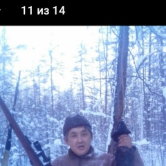 Дмитрий Николаев