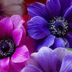 Сагдиям Аметова, 05.02.1990, Алматы