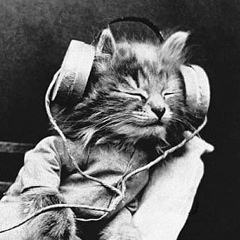 Павел Балматов, 13.02.1984