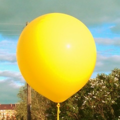 Алиса Никитина, 22.04.1988, Тобольск