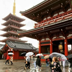 Мария Шевченко, 08.08, Москва