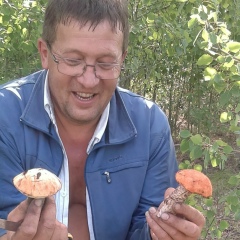 Дмитрий Дмитриев, Чита