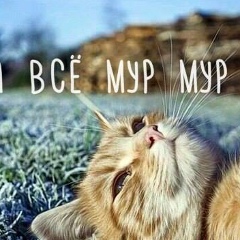 Ника Ласточкина