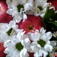 Елена Власова, 26.03.1984, Ростов-на-Дону