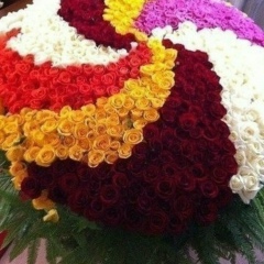 Venera Ashimova, 20.05, Астана