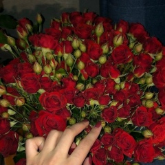 Улмекен Байсапарова, 20.12, Шымкент