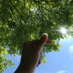 Tokzhan Orazgali, 26.07