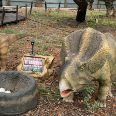 Олька Милованова, 04.05, Уссурийск