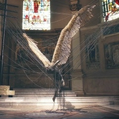 Павел Ким, 13.08.1983