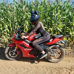 Елена Сергеевна, Игра