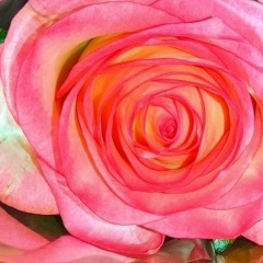 Ольга Ольга, Екатеринбург