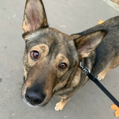 Коля Пирогов, 28.01.1988, Москва