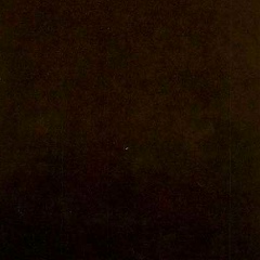 Елена Кантиева, 13.03, Москва