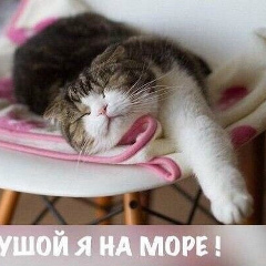 Ольга Липцева, 11.04, Гагарин