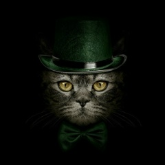 Артур Котин