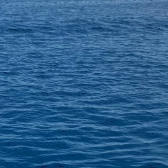 Хамидилло Саидходжаев, 27.07, Мурманск