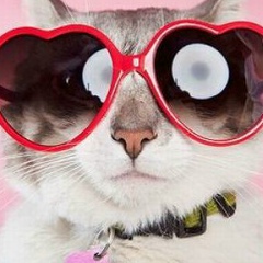 Эвелина Землина, 07.10.1981, Москва