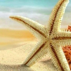 Катерина Богатырева, 26.03.1986, Санкт-Петербург