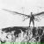 Евгений Попов, 22.12.1988, Минск