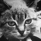 Марина Малинова, 19.07.1997, Москва