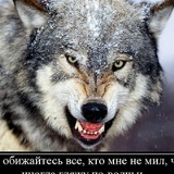 Святослав Шевкопляс, 04.02, Киев