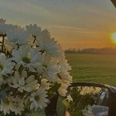 Светлана Света, 05.07, Среднеуральск