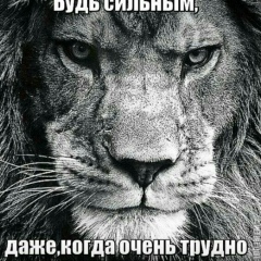 Elaman Tolegenov, Актау