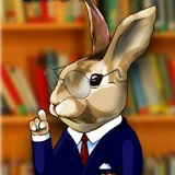 Максим Абрикосов, Ростов-на-Дону