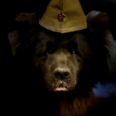 Владимир Викторович