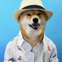 Владимир Владимиров