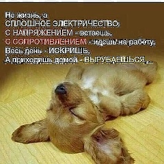 Анна Лысенко, Новосибирск