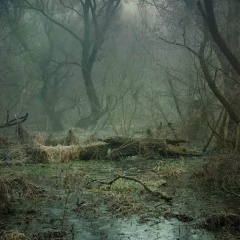 Ольга Решетникова, 05.03, Усть-Каменогорск